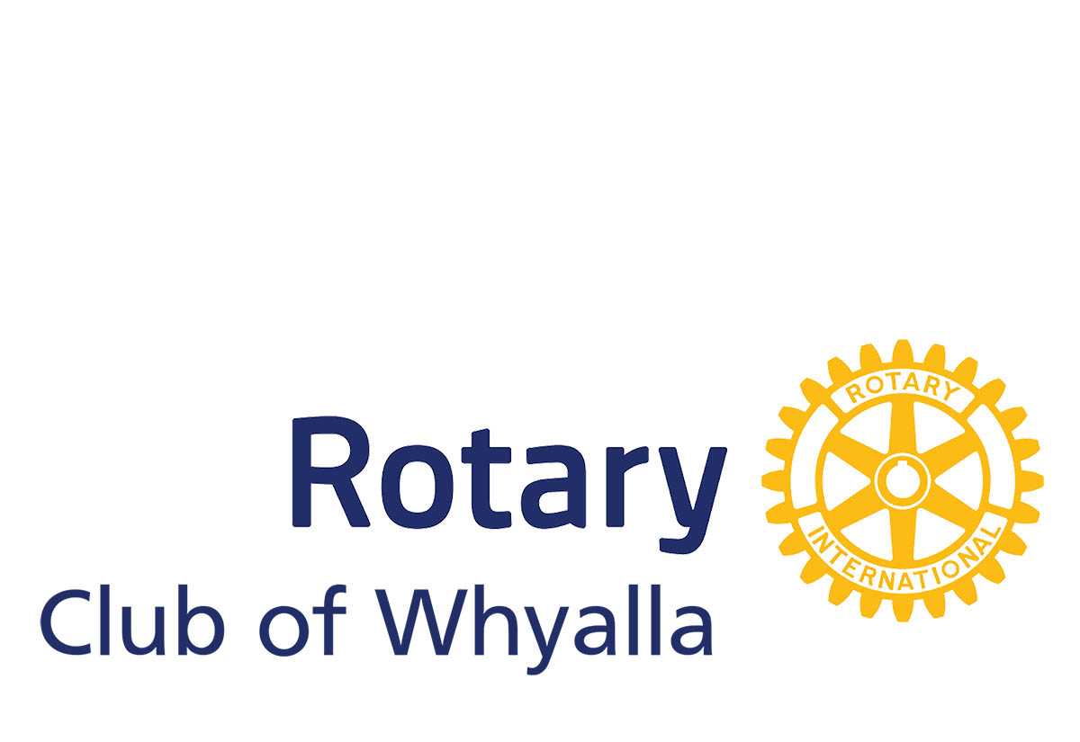 30 Bales of Hay ensures 11 Tonne of hay making very happy Cows and Sheep. Thanks Team!